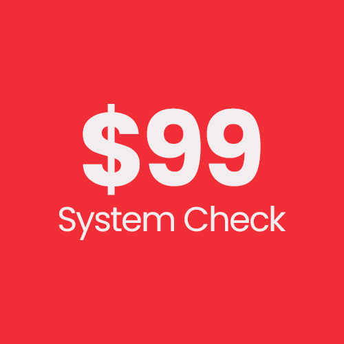 $99 System Check